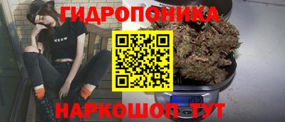2c-b Боровичи