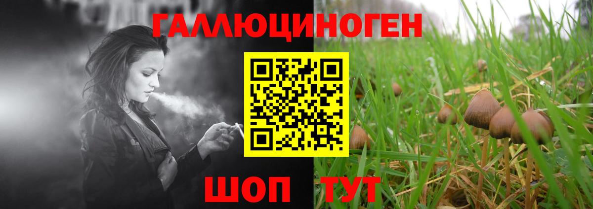 Псилоцибиновые грибы мицелий  Псилоцибиновые грибы мухоморы  Аша  Вход с VPN 