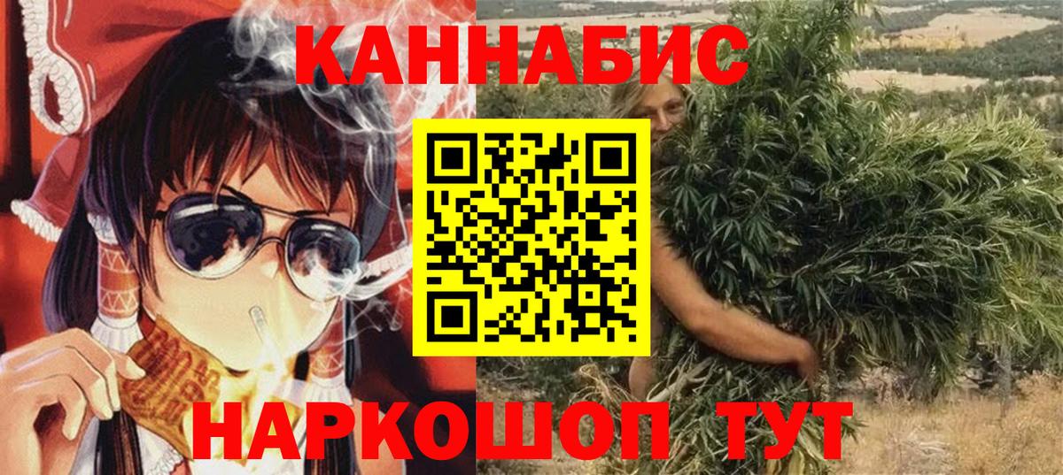 Каннабис White Widow  Вход с VPN  Аша  Шишки марихуана сатива  Шишки марихуана план 